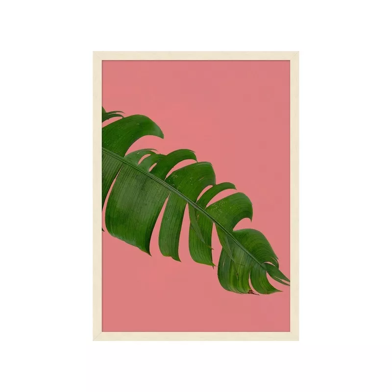 ‘Editorial Vegitation 3’ by Nathan Turner Framed Art