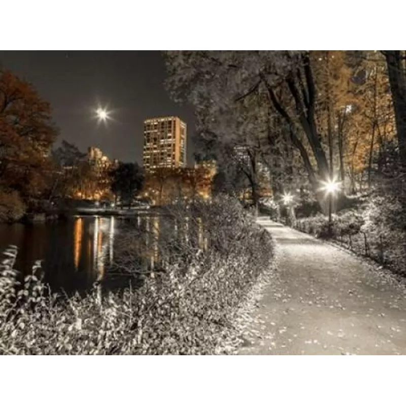 Evening view of Central Park in New York City Poster Print byAssaf Frank – Item # VARPDXAF201311191721C01-158659199436816386